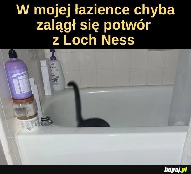 
    Loch Ness