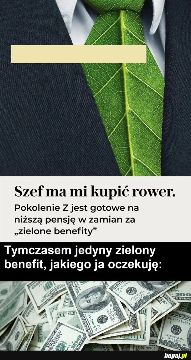 
    Zielone benefity 