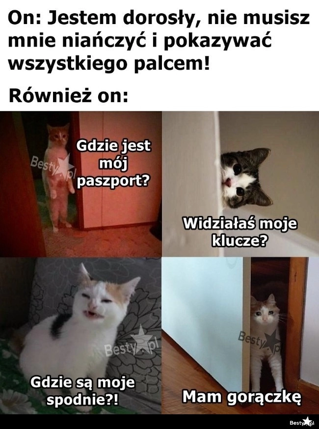 
    Czasem trzeba pomóc 