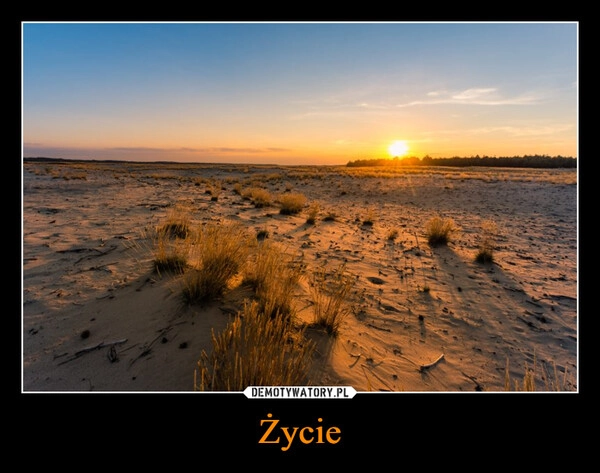 
    Życie