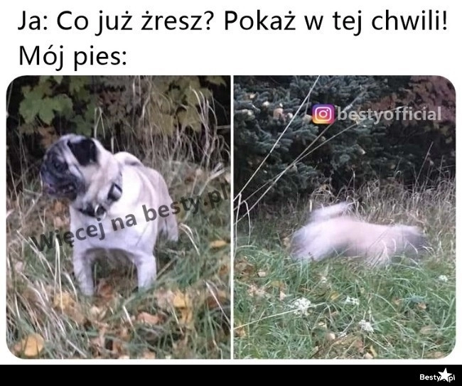 
    Pora na zabawę w ganianego 