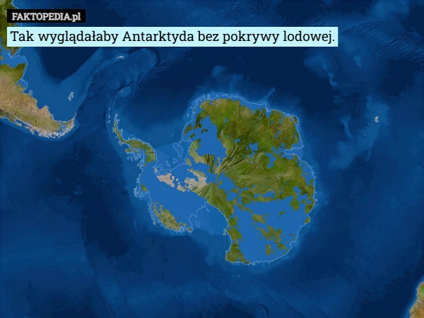 
    Tak wyglądałaby Antarktyda bez pokrywy lodowej.