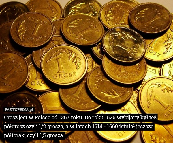 
    Grosz jest w Polsce od 1367 roku. Do roku 1526 wybijany był też półgrosz