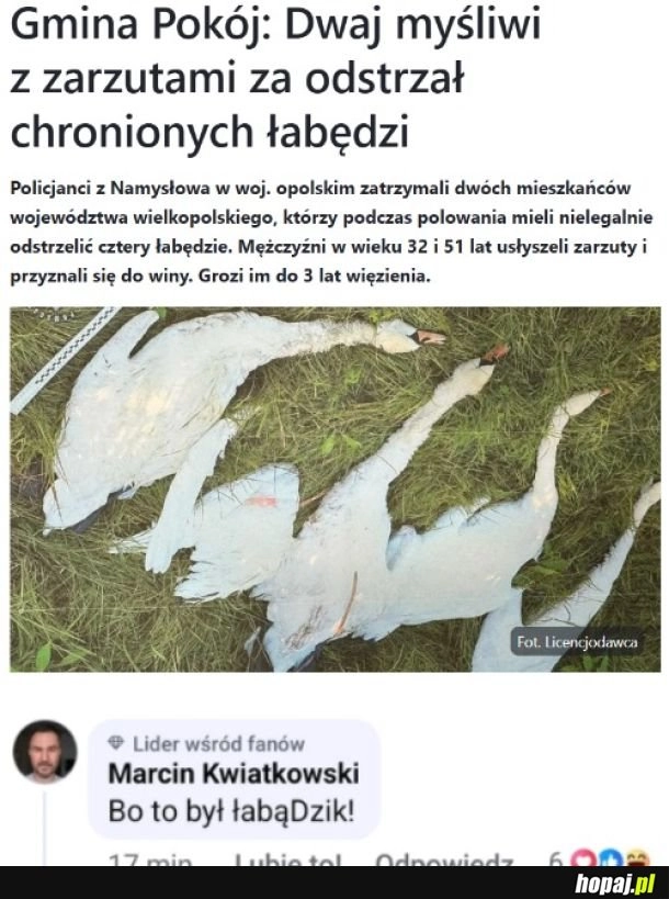 
    Kiedy odstrzał myśliwych?