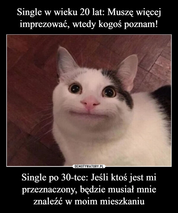 
    Single w wieku 20 lat: Muszę więcej imprezować, wtedy kogoś poznam! Single po 30-tce: Jeśli ktoś jest mi przeznaczony, będzie musiał mnie znaleźć w moim mieszkaniu