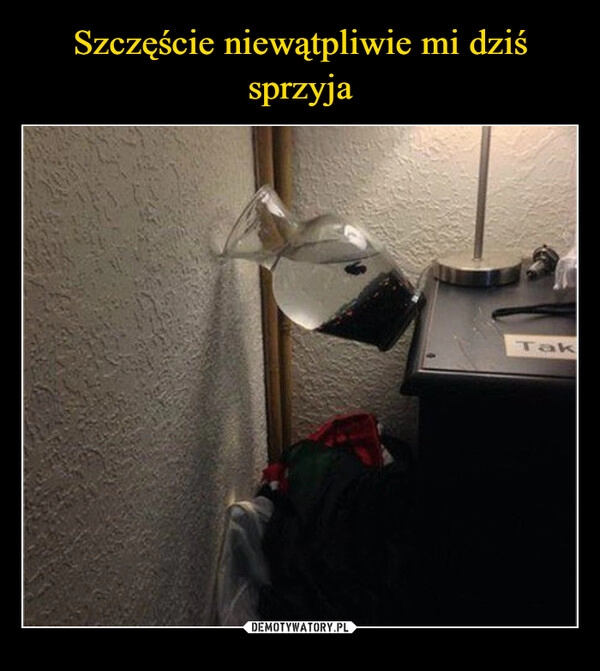 
    Szczęście niewątpliwie mi dziś sprzyja