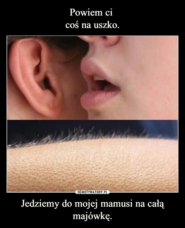 
    Powiem ci 
coś na uszko. Jedziemy do mojej mamusi na całą
majówkę.