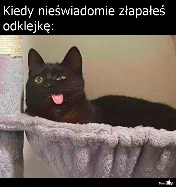 
    Odklejka 