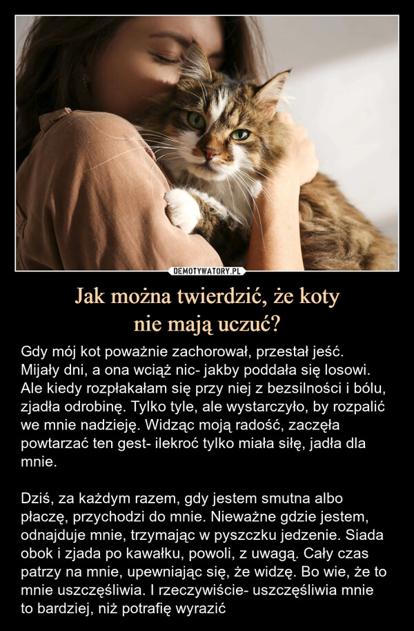 
    Jak można twierdzić, że koty
nie mają uczuć?