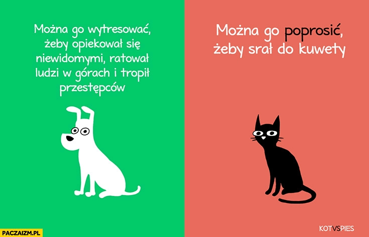 
    Pies – można go wytresować żeby opiekował się niewidomymi, ratował ludzi, tropił przestępców. Kot – można go poprosić żeby srał do kuwety. Kot vs pies