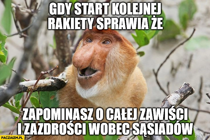 
    Gdy start kolejnej rakiety sprawia, że zapominasz o całej zawiści i zazdrości wobec sąsiadów. Typowy Polak nosacz