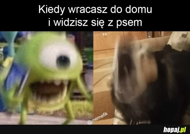 
    Radość