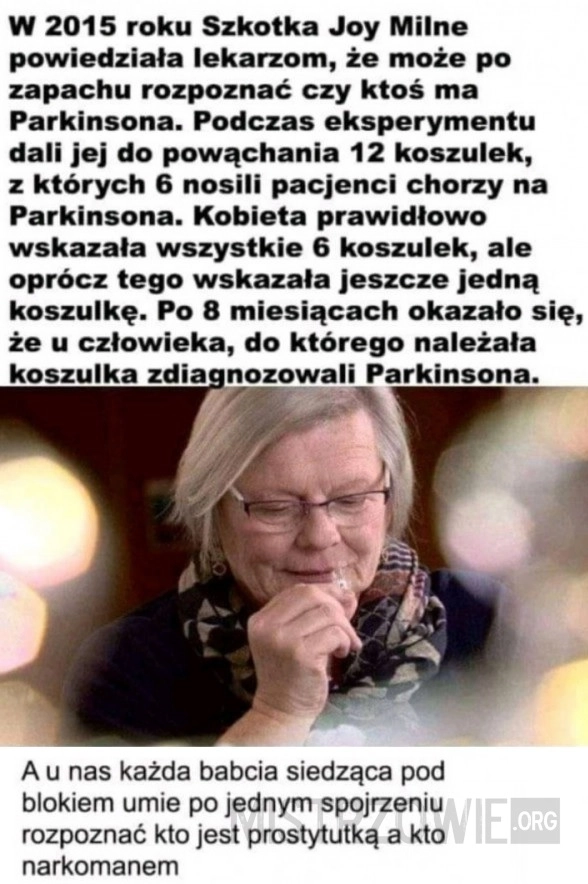 
    Szkotka