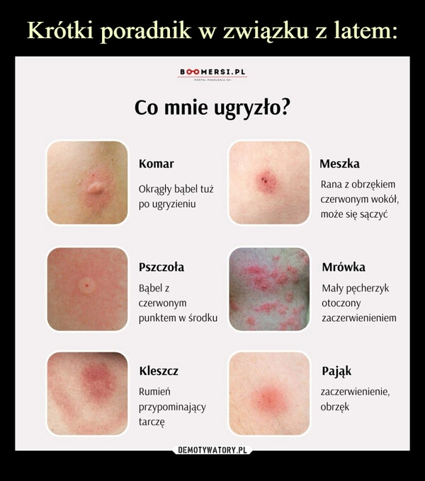 
    Krótki poradnik w związku z latem: