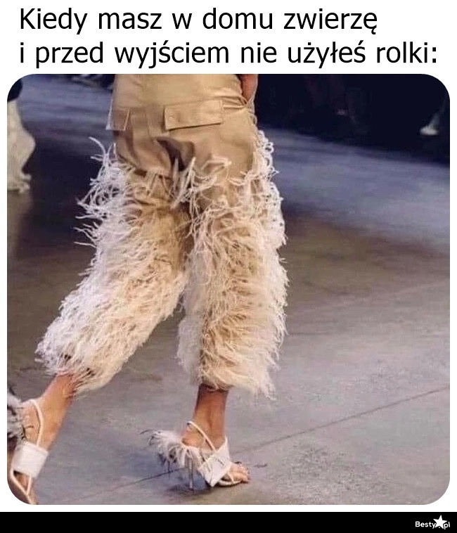 
    Must have właściciela zwierząt 