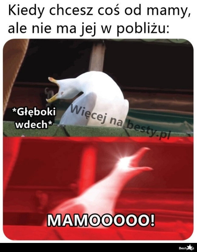 
    Mama: Jak coś chcesz, to przyjdź! 