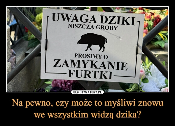 
    Na pewno, czy może to myśliwi znowu we wszystkim widzą dzika?