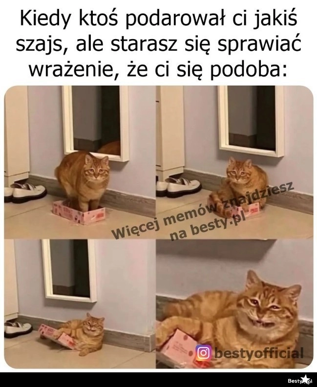 
    Cudowny, dziękuję bardzo! 