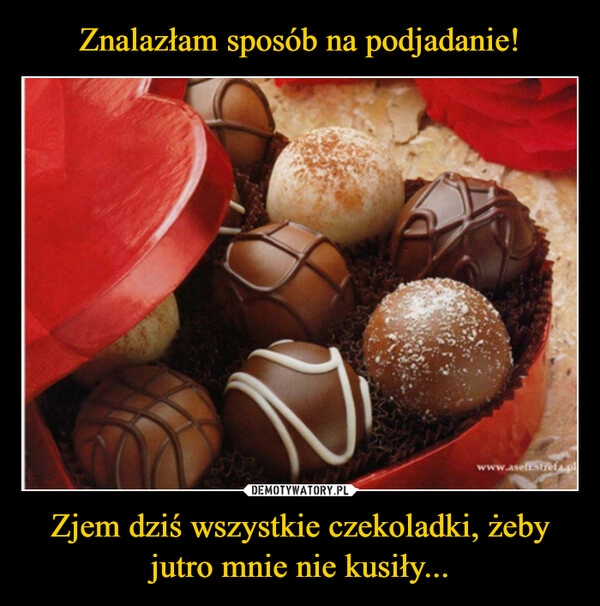 
    Znalazłam sposób na podjadanie! Zjem dziś wszystkie czekoladki, żeby jutro mnie nie kusiły...