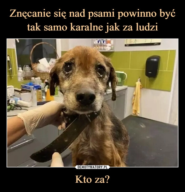 
    Znęcanie się nad psami powinno być tak samo karalne jak za ludzi Kto za?