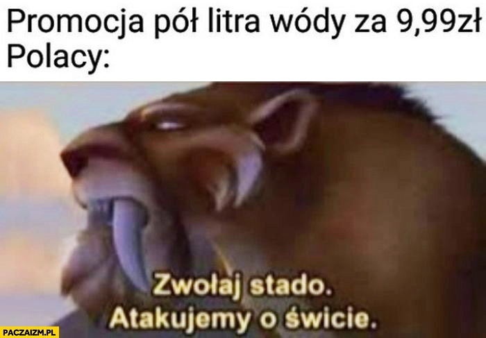 
    Promocja pół litra wódki za 9,99 zł, Polacy: zwołaj stado atakujemy o świcie