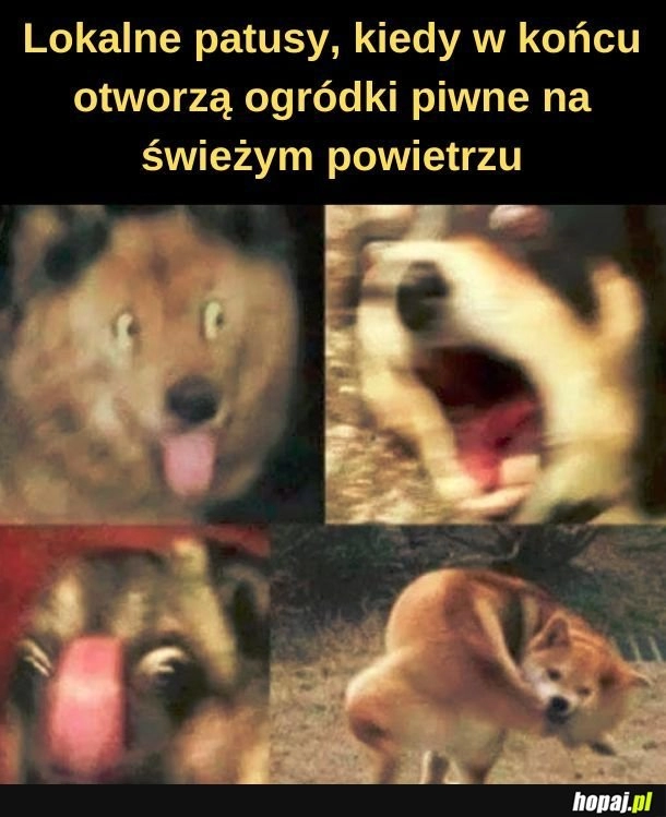 
    Bo można palić.