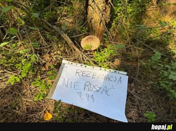 Uuuu okej