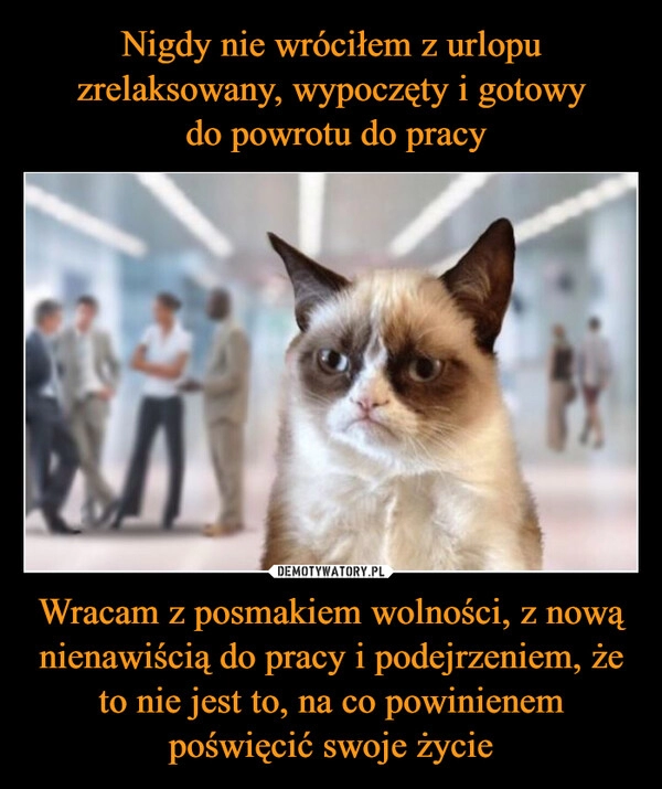 
    Nigdy nie wróciłem z urlopu zrelaksowany, wypoczęty i gotowy
 do powrotu do pracy Wracam z posmakiem wolności, z nową nienawiścią do pracy i podejrzeniem, że to nie jest to, na co powinienem poświęcić swoje życie