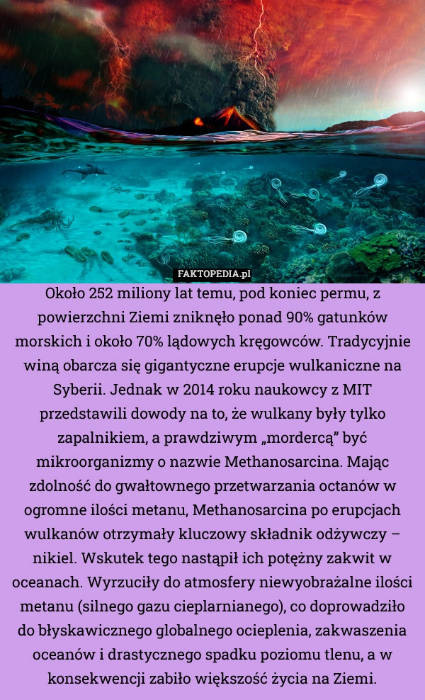 Około 252 miliony lat temu, pod koniec permu, z powierzchni Ziemi zniknęło