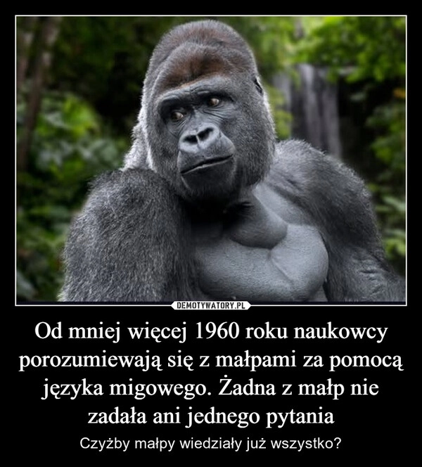 
    Od mniej więcej 1960 roku naukowcy porozumiewają się z małpami za pomocą języka migowego. Żadna z małp nie zadała ani jednego pytania