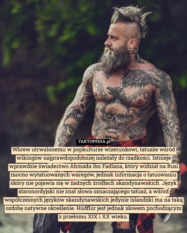 
    Wbrew utrwalonemu w popkulturze wizerunkowi, tatuaże wśród wikingów najprawdopodobniej