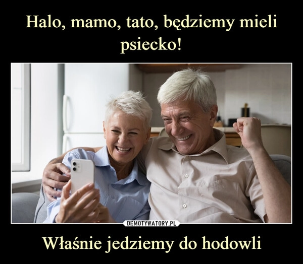 
    Halo, mamo, tato, będziemy mieli psiecko! Właśnie jedziemy do hodowli