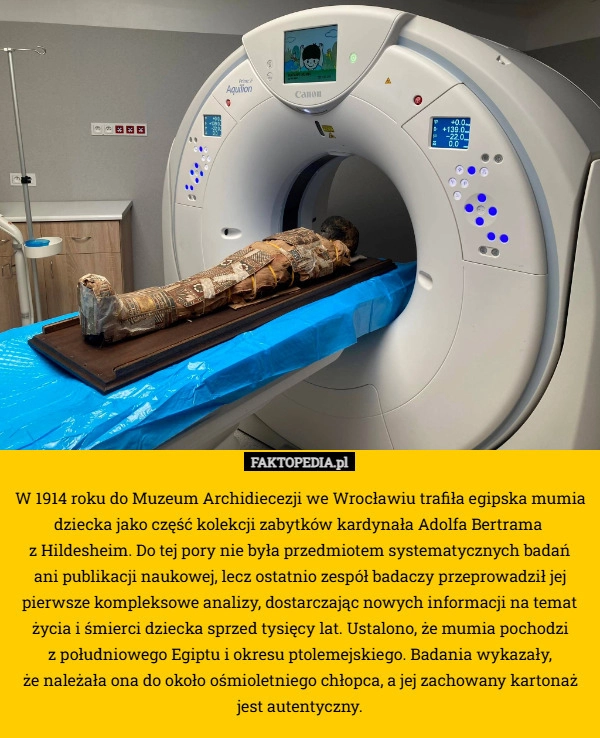 
    W 1914 roku do Muzeum Archidiecezji we Wrocławiu trafiła egipska mumia dziecka