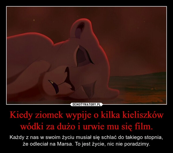 
    Kiedy ziomek wypije o kilka kieliszków wódki za dużo i urwie mu się film.