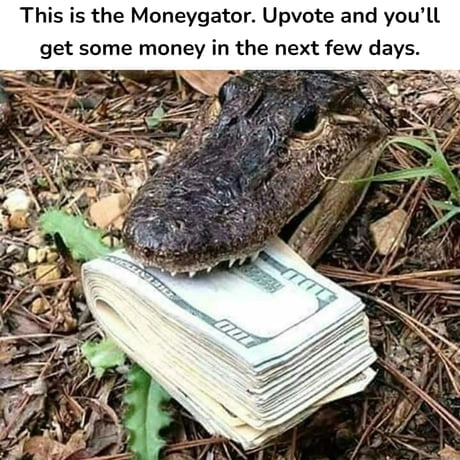 
    Do the gator