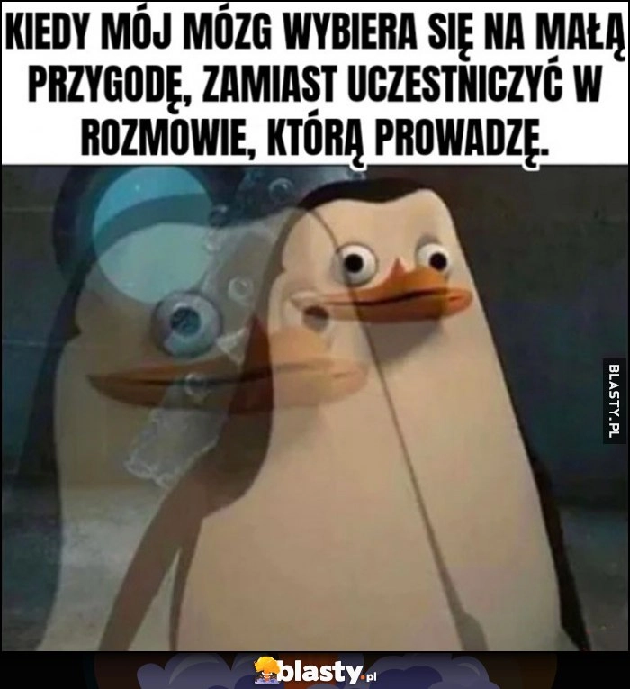 
    Kiedy mój mózg wybiera się na małą przygodę zamiast uczestniczyć w rozmowie, którą prowadzę pingwin