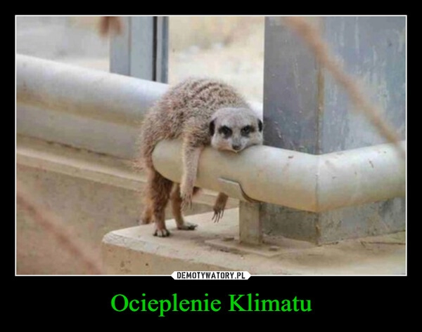 
    Ocieplenie Klimatu