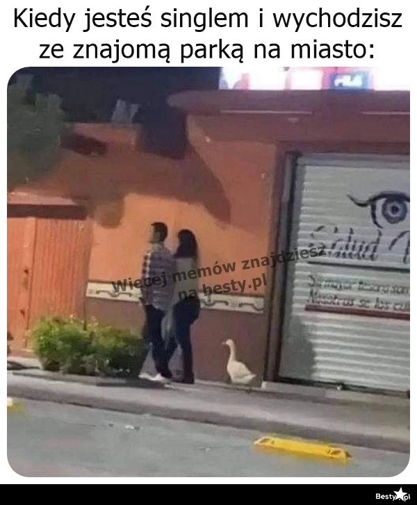 
    Nie przeszkadzajcie sobie 