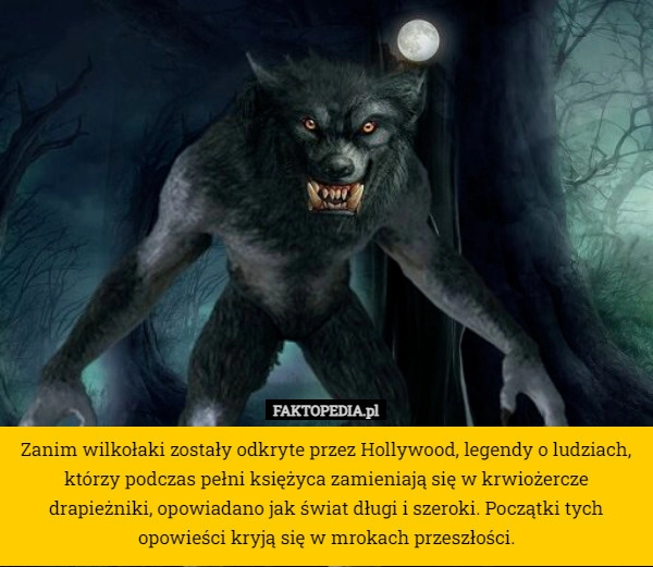 
    Zanim wilkołaki zostały odkryte przez Hollywood, legendy o ludziach, którzy