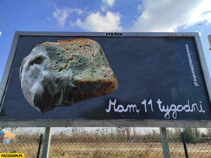 
    Mam 11 tygodni kanapka zostawiona w plecaku na wakacje billboard reklama pro life