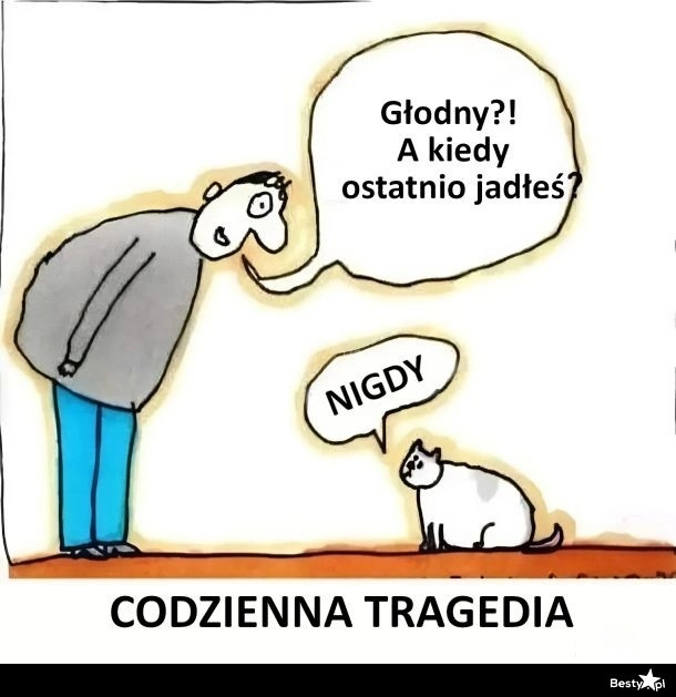 
    Codzienna tragedia 