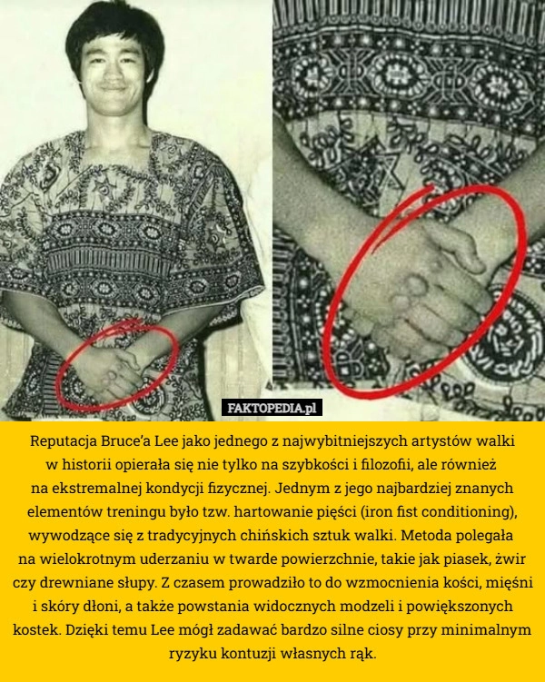 
    Reputacja Bruce’a Lee jako jednego z najwybitniejszych artystów walki
 w