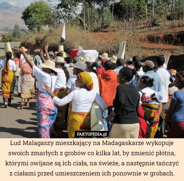 
    Lud Malagaszy mieszkający na Madagaskarze wykopuje swoich zmarłych z grobów