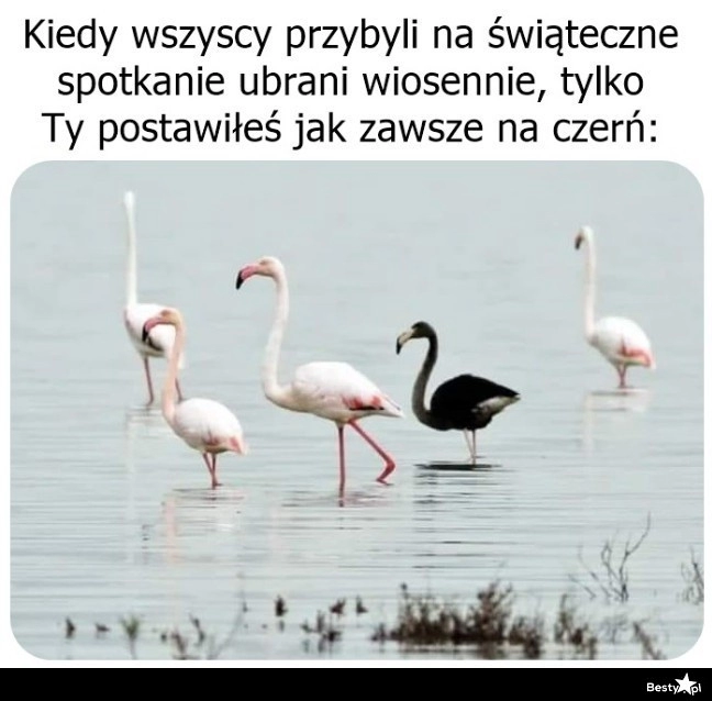 
    Żadne tam kolory 