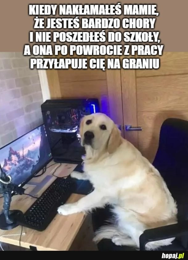 
    Przypał