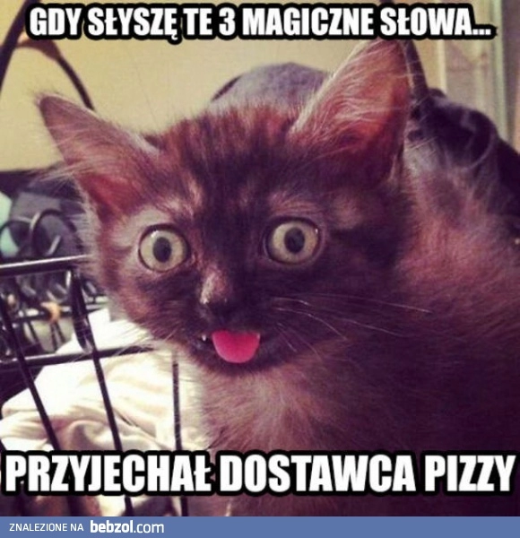 
    Magiczne słowa