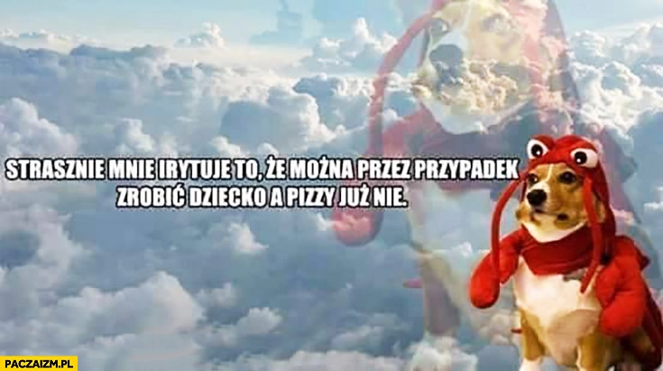 
    Strasznie mnie irytuje to że można przez przypadek zrobić dziecko a pizzy już nie