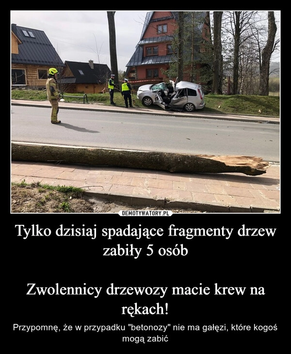 
    Tylko dzisiaj spadające fragmenty drzew zabiły 5 osób

Zwolennicy drzewozy macie krew na rękach!