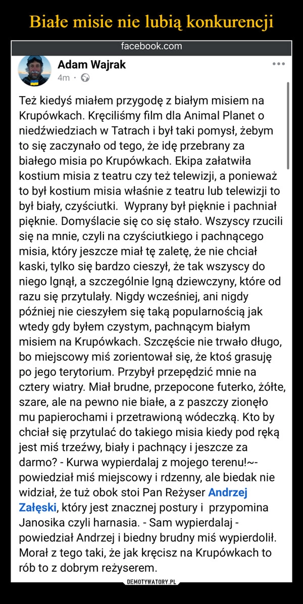 
    Białe misie nie lubią konkurencji