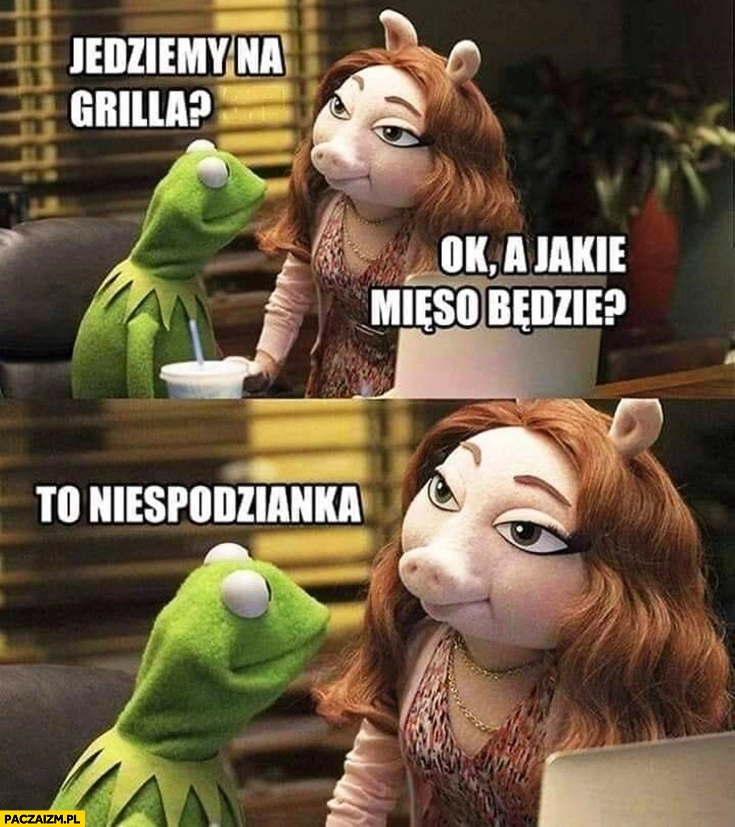 
    Kermit świnka jedziemy na grilla ok a jakie mięso będzie? To niespodzianka